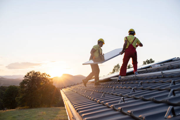 Best Skylight Installation and Repair  in Toledo, IA